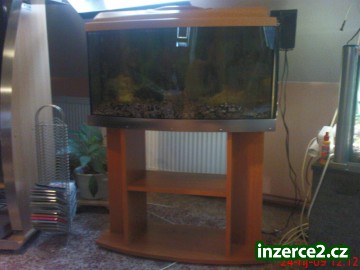 Akvarium_2 95825_2.jpg