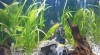 Akvarium 95825_t.jpg