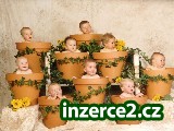Práce z domu i pro maminky_1 96890_1.jpg